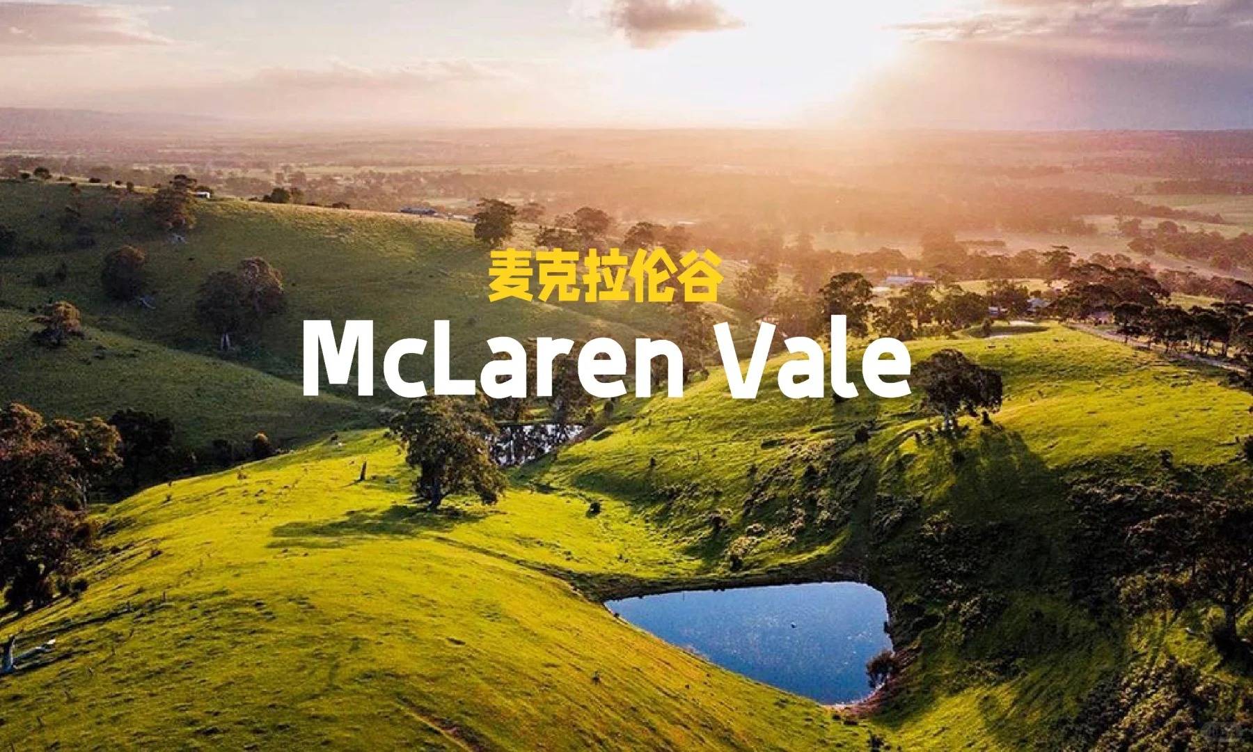 2️⃣葡萄酒名产区-麦克拉伦谷McLaren_Vale_1_手作_来自小红书网页版