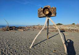 travel picture