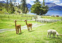 travel picture