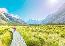 travel picture