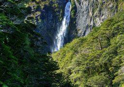 travel picture