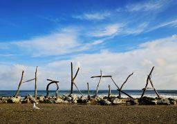 travel picture