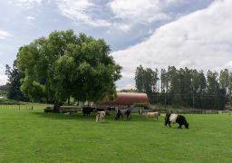 travel picture