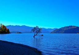travel picture