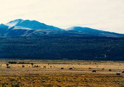 travel picture
