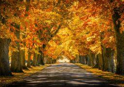 travel picture